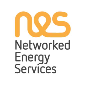 Networked Energy Services Logo